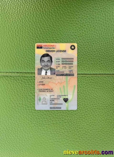 USA Arizona driving license version 2  photolook